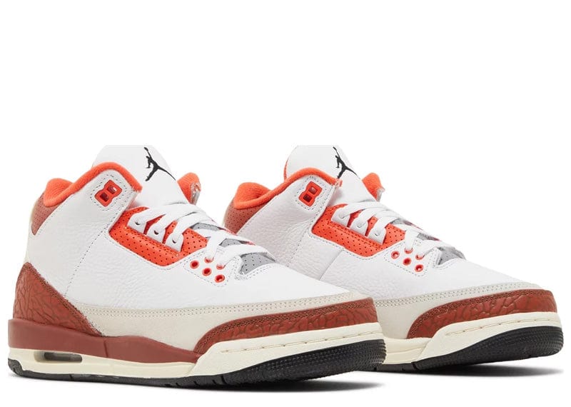 JORDAN 3 RETRO SE DUNK ON MARS